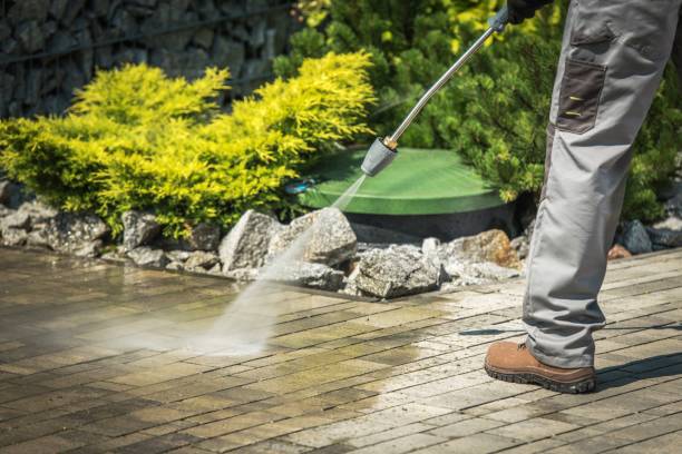 Best Soft Washing  in Turlock, CA